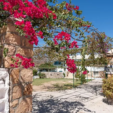 Beachfront Lampis Dolphin 2 *